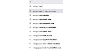 auto populate completes the search phrase auto populate